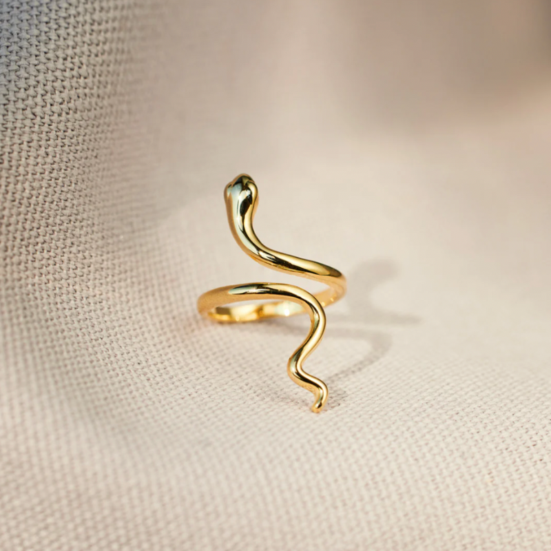 Anillo Renacer – Poder interior