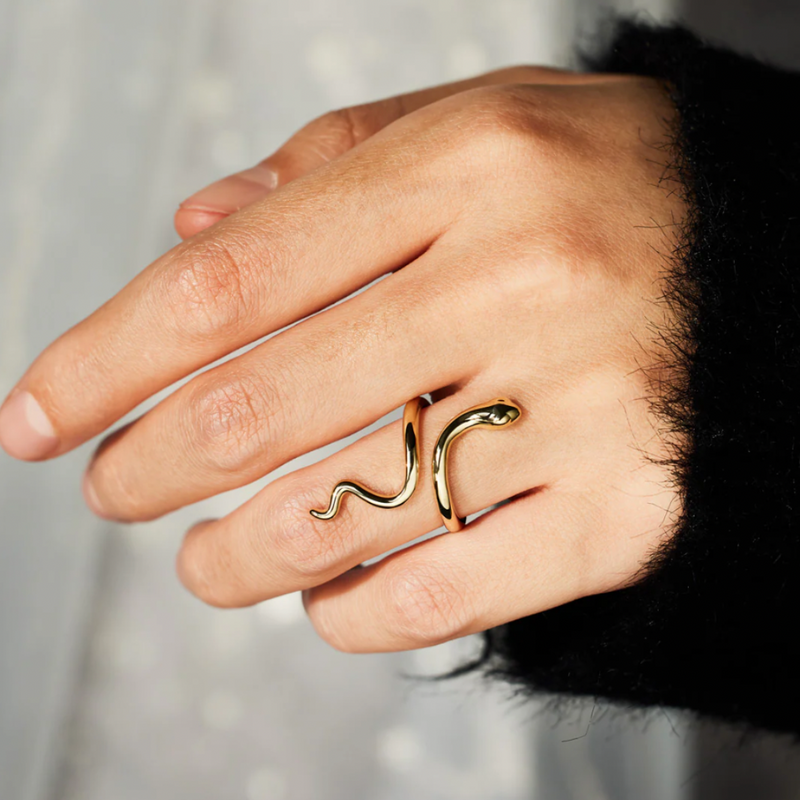 Anillo Renacer – Poder interior