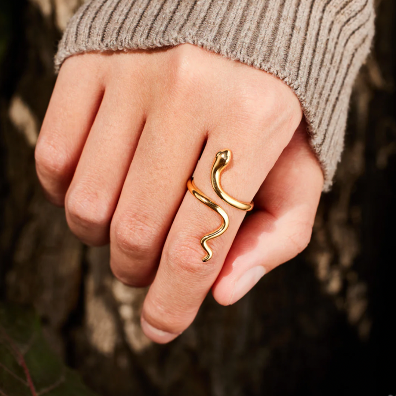 Anillo Renacer – Poder interior