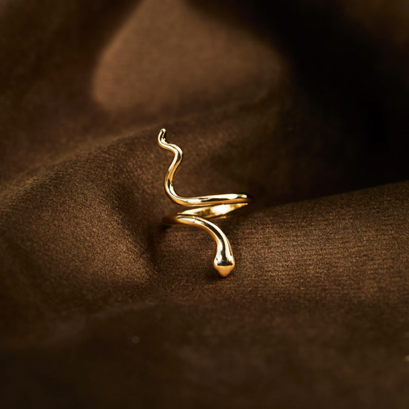 Anillo Renacer – Poder interior