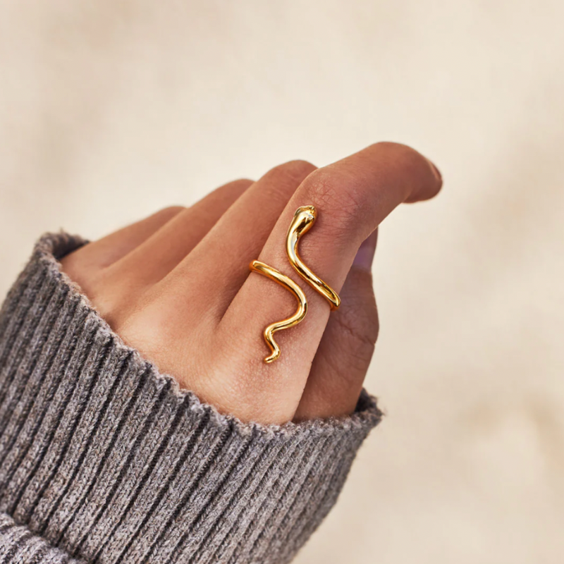 Anillo Renacer – Poder interior