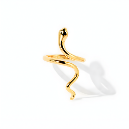 Anillo Renacer – Poder interior